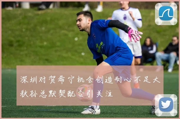 深圳对贺希宁机会创造耐心不足大秋孙总默契配合引关注